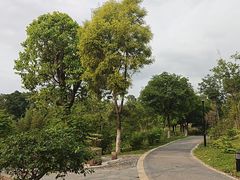 -东莞植物园
