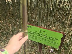 -常德桃花源景区