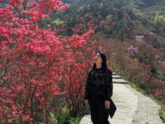 -岳西天峡风景区