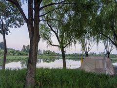 -东郊湿地公园