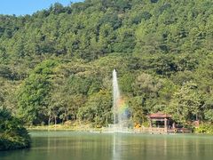 -广州白江湖森林公园