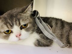 -宠颐生宠物医院·骨外科·犬猫全科诊疗中心(池州店)