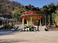 -栾川竹海野生动物园