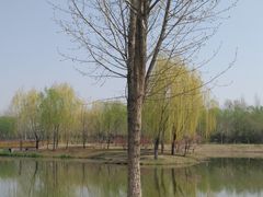 -东郊湿地公园