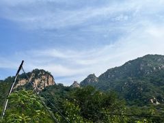 -大岭沟猕猴桃谷风景区