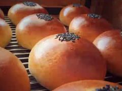 -咖咖熊蛋糕定制·英国蓝风车动物性淡奶油