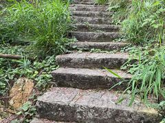 -青龙山国家森林公园