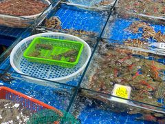 -船奇蒸汽海鲜·闽菜(八市海鲜总店)