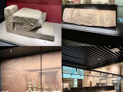-四川大学博物馆