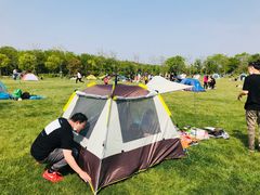 -上海海湾国家森林公园