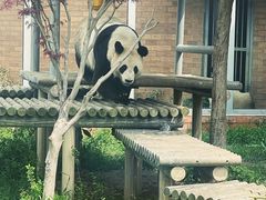 -苏州太湖国家湿地公园