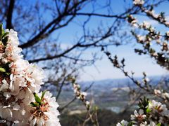 -香山公园