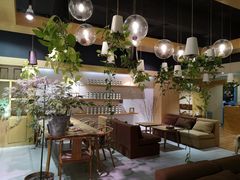 -柴务处·柴犬主题狗咖