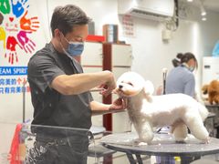 -宠物家(双井店)