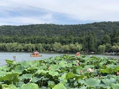 -湖畔居茶楼(湖滨店)