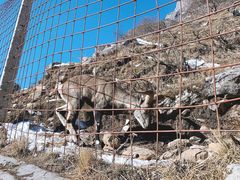 景点-毕棚沟景区