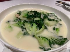 白菜仔-东富酒家(龙湖西溪天街店)