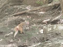 -北京上方山国家森林公园
