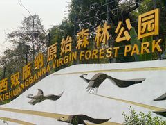 -西双版纳原始森林公园