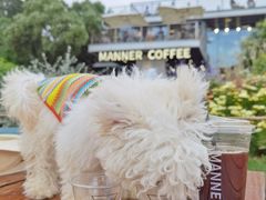 -Manner Coffee(徐汇滨江店)