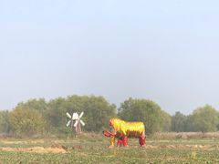 -长兴太湖图影湿地文化园