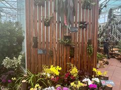 -国家植物园南园