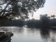 -荔湾湖公园