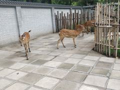 -北京野生动物园