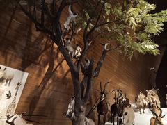 -贝林大翅鲸简餐厅(国家海洋博物馆店)