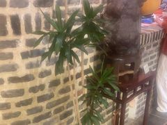 -茶肆(仙林店)