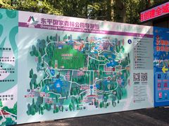 -东平国家森林公园