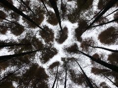 -山王坪喀斯特国家生态公园