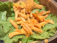 鸡油菌-滇野云南野生菌餐厅(陕西南路店)