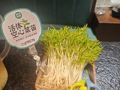 -阳坊涮肉(西直门凯德mall店)