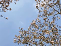 -金海湾滨江公园