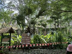 -海南热带野生动植物园