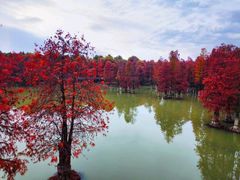 -青山湖景区