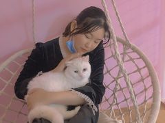 -70cat德文卷毛猫·缅因猫纯种猫舍