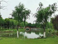 -东台西溪天仙缘景区