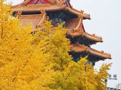 -故宫博物院(故宫)
