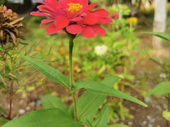 -永定河休闲森林公园