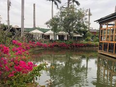 -花溪雨·森林餐厅(石基店)
