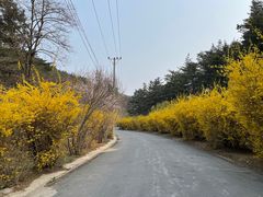 -金龙寺国家森林公园