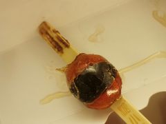 -盒马鲜生(富田新天地店)