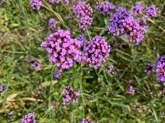 -云峰山自然风景区
