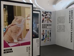 -KK ONE(京基滨河时代店)