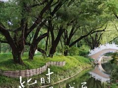 -北坞公园