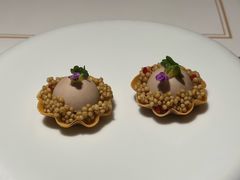 -觀芷隐轩
