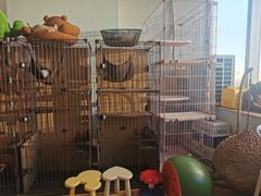-Cappucimeow猫咪咖啡馆(韦伯时代店)