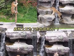 -宁波野生动物园
